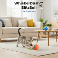 WhiskerDash™ BlitzBall - Juniper Paws