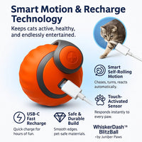 WhiskerDash™ BlitzBall - Juniper Paws