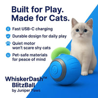 WhiskerDash™ BlitzBall - Juniper Paws