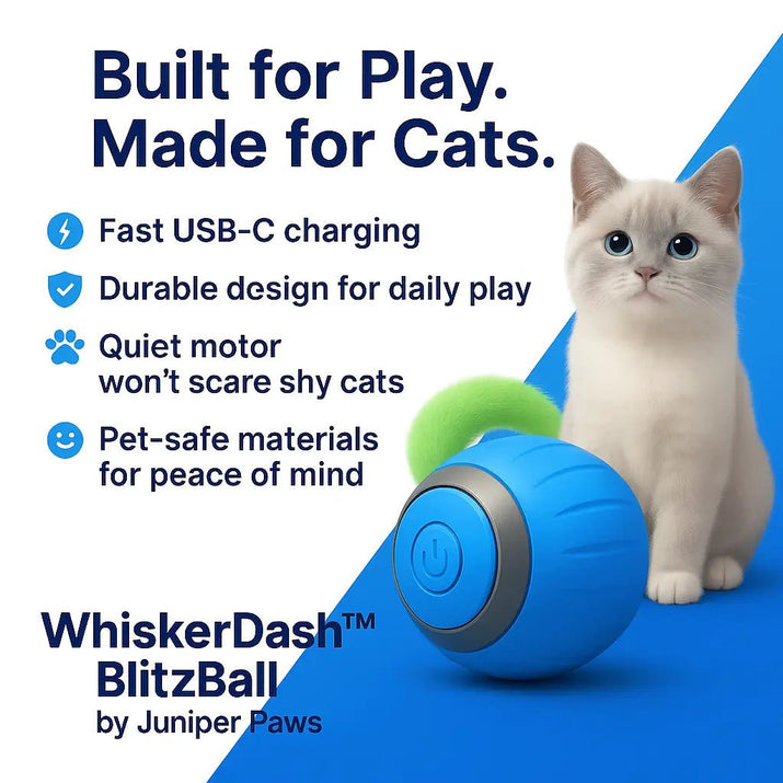 WhiskerDash™ BlitzBall - Juniper Paws