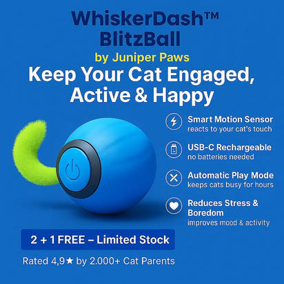 WhiskerDash™ BlitzBall - Juniper Paws