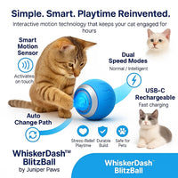 WhiskerDash™ BlitzBall - Juniper Paws
